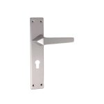 Handle with Plate